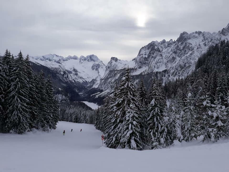 Dachstein View Ski Apartment Gosau Εξωτερικό φωτογραφία