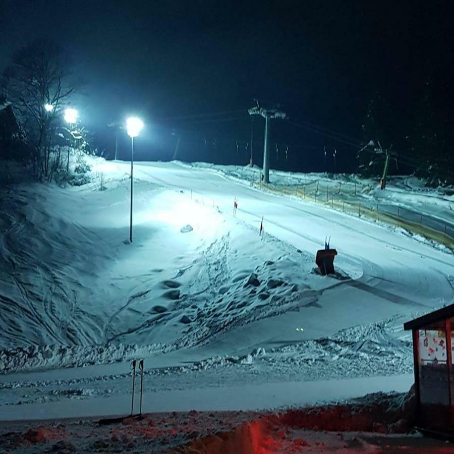Dachstein View Ski Apartment Gosau Εξωτερικό φωτογραφία