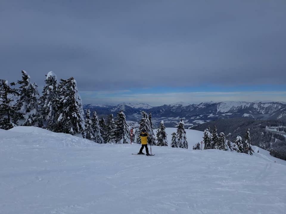 Dachstein View Ski Apartment Gosau Εξωτερικό φωτογραφία