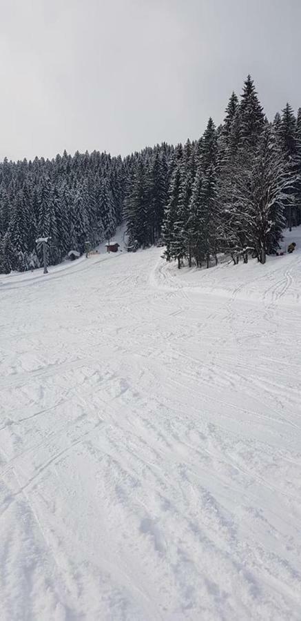 Dachstein View Ski Apartment Gosau Εξωτερικό φωτογραφία