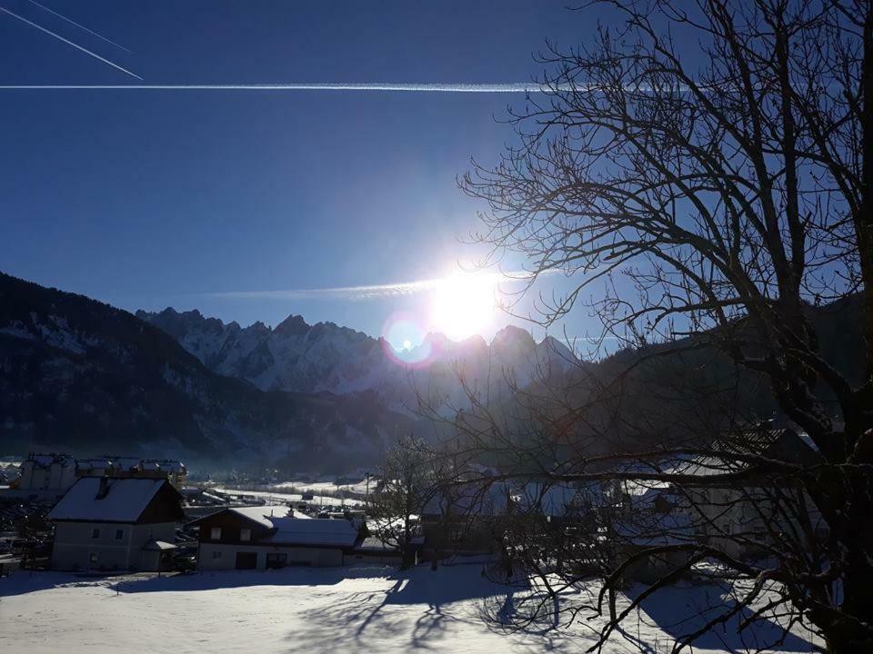 Dachstein View Ski Apartment Gosau Εξωτερικό φωτογραφία